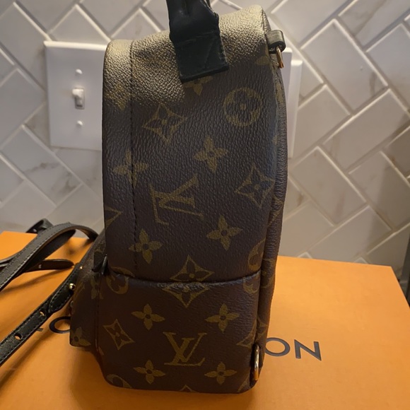 Louis Vuitton Palm Springs Mini (old zipper) - Picture 6 of 13